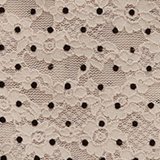 Show Off Flocked Vintage Lace High Waisted Bikini Underwear