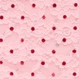 Show Off Flocked Vintage Lace High Waisted Bikini Underwear