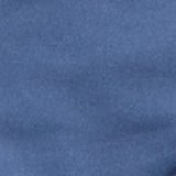 Marbled Blue
