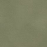 Olive Fun