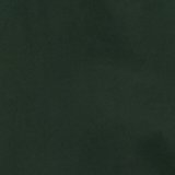 Vert mystique