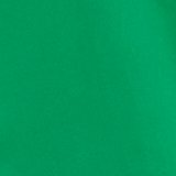 Rally Green