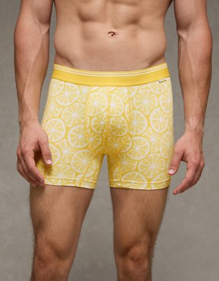 AEO Men's 4.5" Ultra Soft Boxer Brief from American Eagle - $14.35
