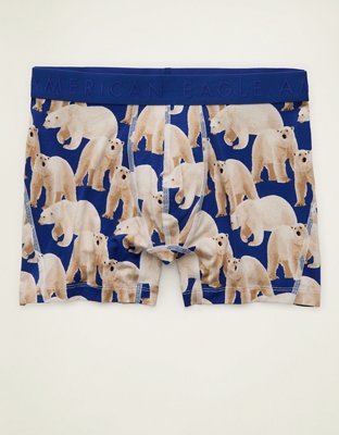 AEO Men's 4.5" Ultra Soft Boxer Brief