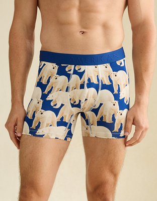 AEO Men's 4.5" Ultra Soft Boxer Brief