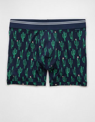 AEO Men's Cacti 4.5" Ultra Soft Boxer Brief