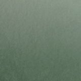 Deep Forest Green
