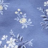 Marbled Blue