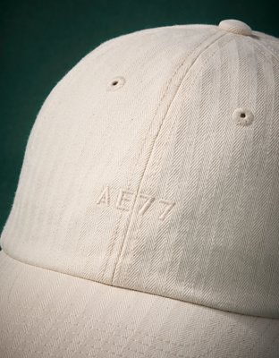 AE77 Premium Herringbone Baseball Hat