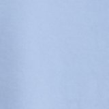 Monaco Blue