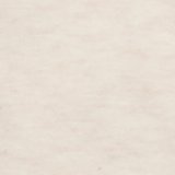 Superchill Cotton High Waisted Boxer Underwear