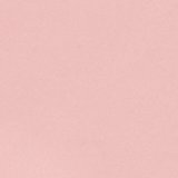 Pink Wonder
