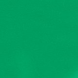 Rally Green