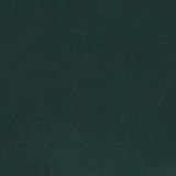 Deep Forest Green