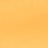 Petal Orange