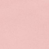 Pink Wonder