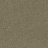 Olive Fun