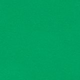 Rally Green