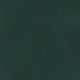 Deep Forest Green