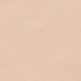 SMOOTHEZ No Show Cheeky Underwear