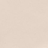 SMOOTHEZ No Show Cheeky Underwear