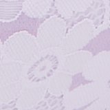 Lavender Dawn