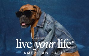 AE Live Your Life Dog Gift Card