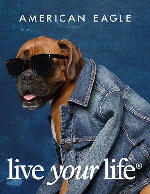 AE Live Your Life Dog Gift Card