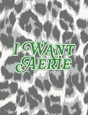 I Want Aerie Gift Card