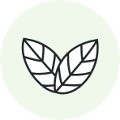 Medium coverage