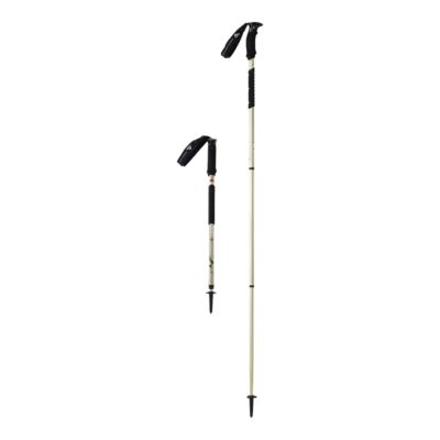 msr hiking pole