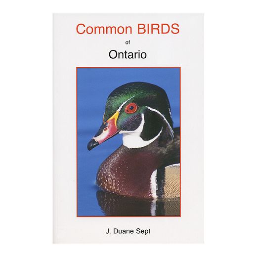 Common Birds Of Ontario Guidebook