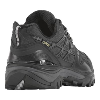 the north face men's hedgehog fastpack gtx shoe