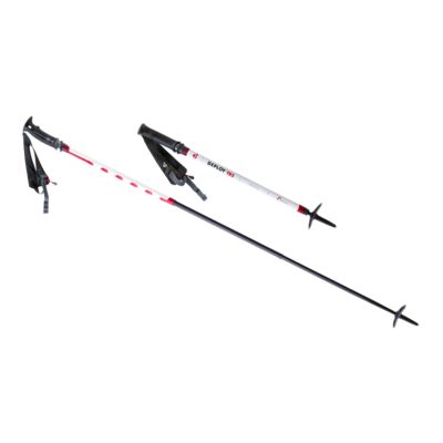 msr trekking pole