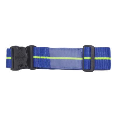 eagle creek luggage strap