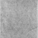 Gray Velvet
