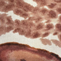Cortiva Desert