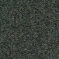 Beacon Spruce