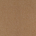 Shimmer Cognac