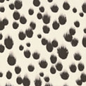 Blanc - Noir