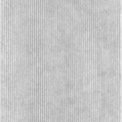 Gray Velvet