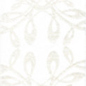 X-Ray - Ivory