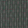 Bloch - Blue Spruce
