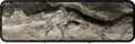 Lino Dresser alt image