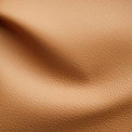 Carrington Buckskin