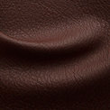 Carrington Sequoia