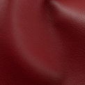 Cavallo Auburn