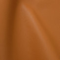 Cavallo Terra