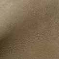 Cortina Bronze