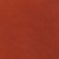 Red Aniline Leather